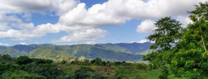 The Rich Aroma of Nicaraguan Coffee: A Journey Through Flavor and Trad ...